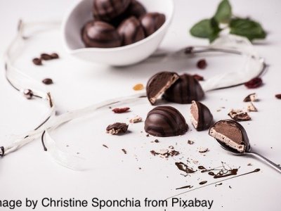 Lesson#2: Birds are not the only ones to&nbsp;migrate.